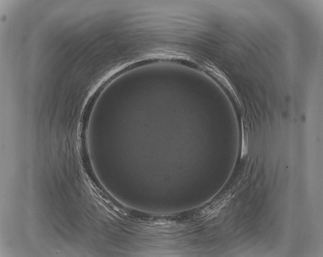 X0000085260387200703161409