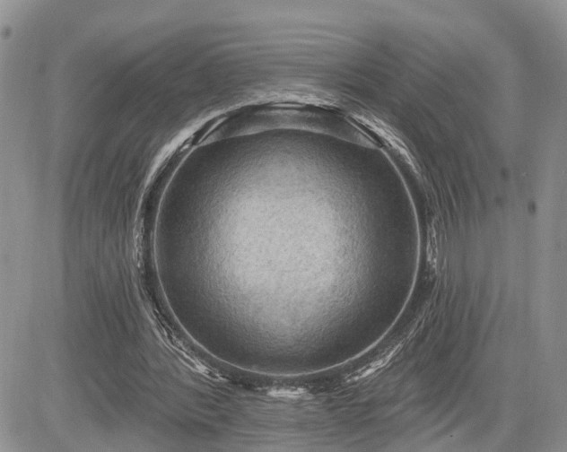 X0000085260388200703161409