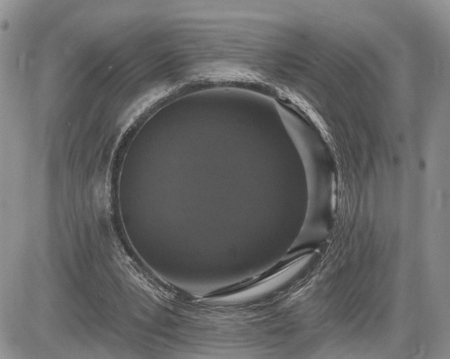 X0000085260391200703161409