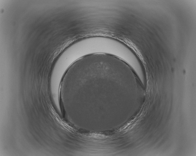 X0000085260393200703161409