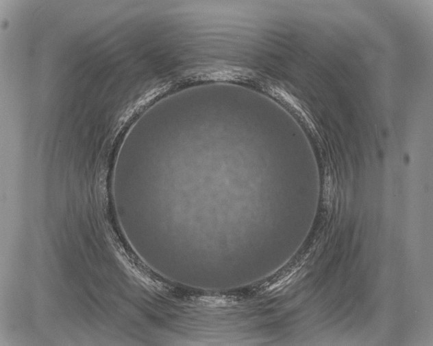 X0000085260394200703161409