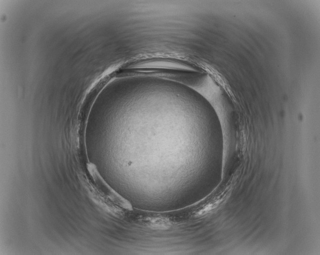 X0000085260395200703161409