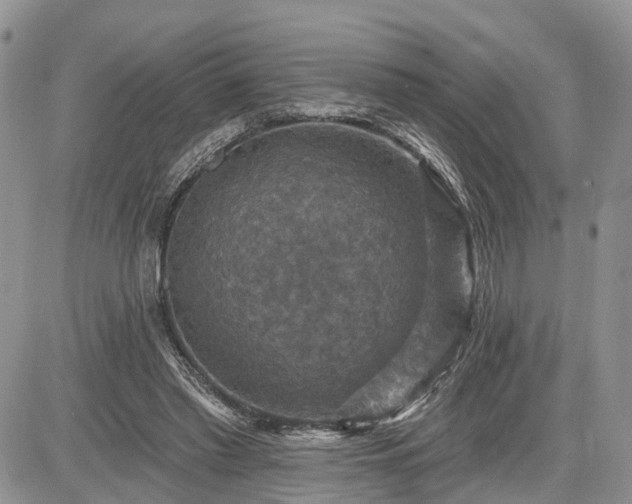 X0000085260397200703161409