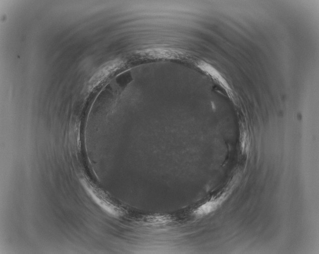 X0000085260398200703161409