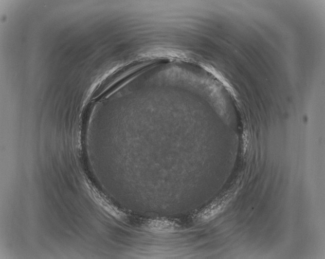 X0000085260399200703161409