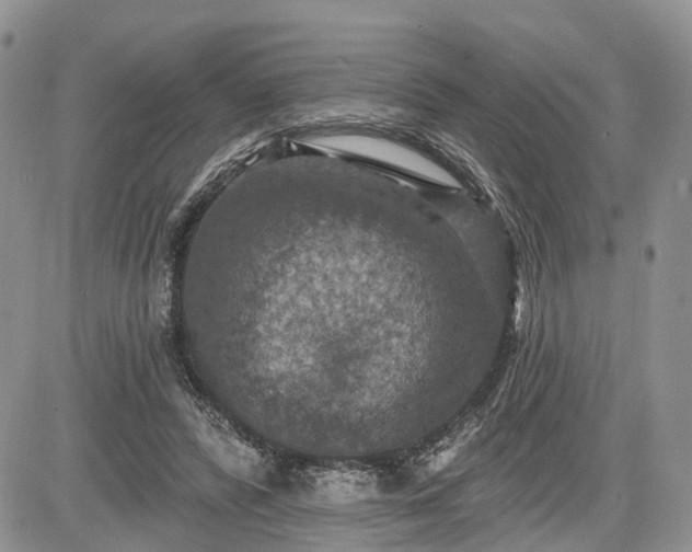 X0000085260400200703161409