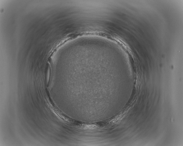 X0000085260401200703161409