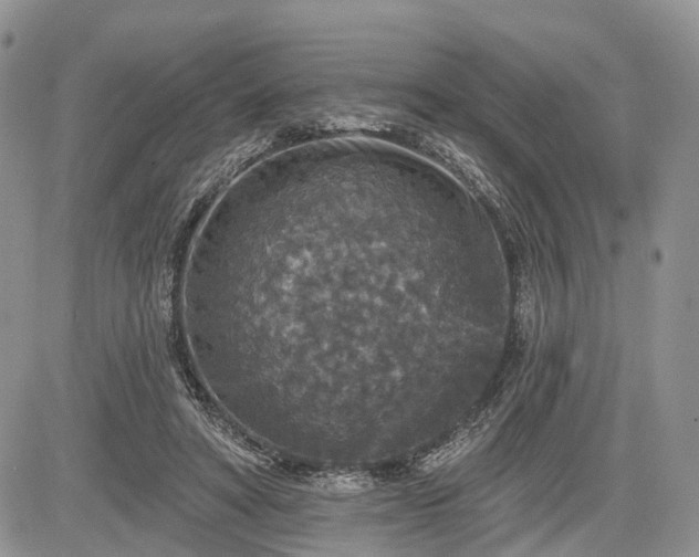 X0000085260402200703161409