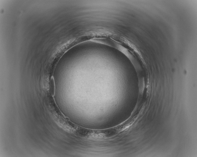 X0000085260403200703161409