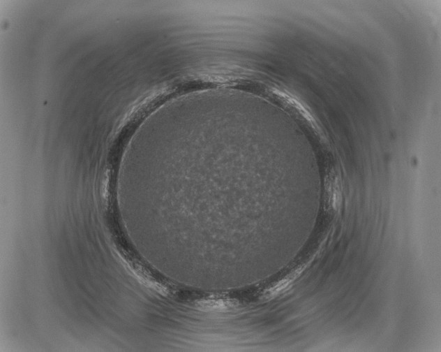 X0000085260404200703161409