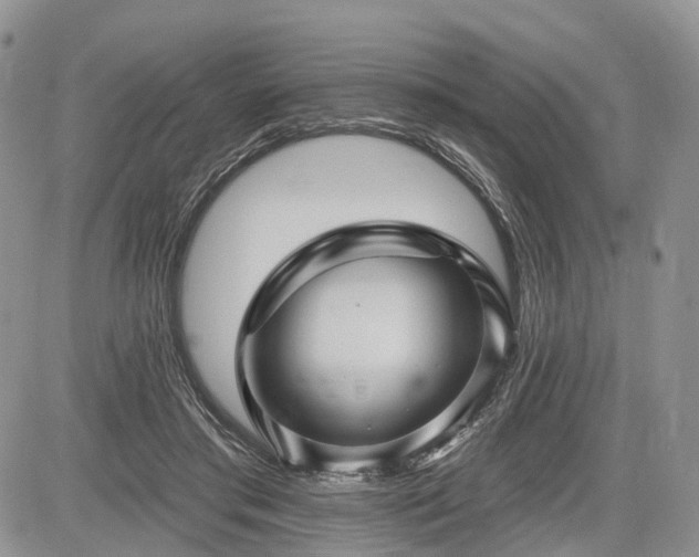 X0000085260405200703161409