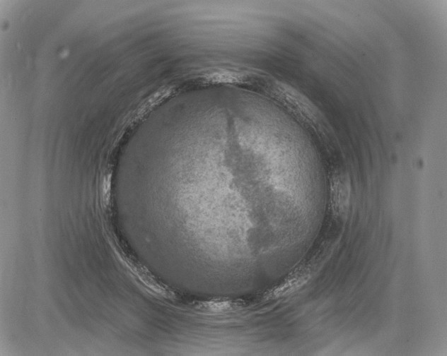 X0000085260406200703161409