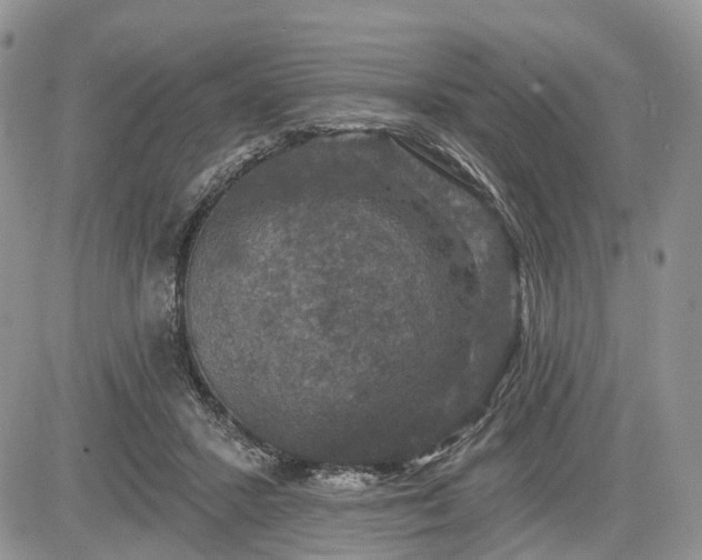 X0000085260407200703161409