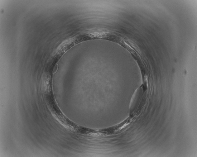 X0000085260408200703161409