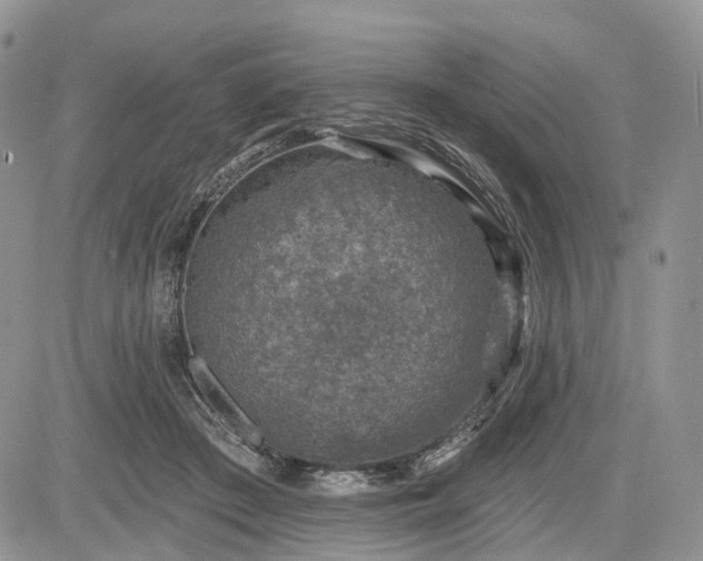 X0000085260409200703161409