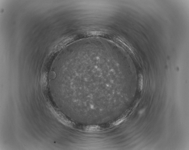 X0000085260410200703161409