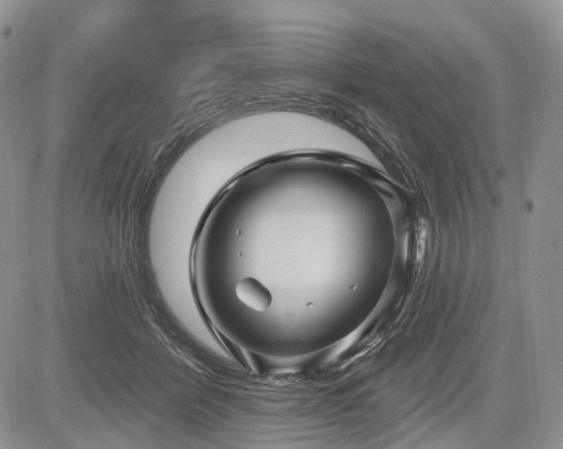 X0000085260412200703161409