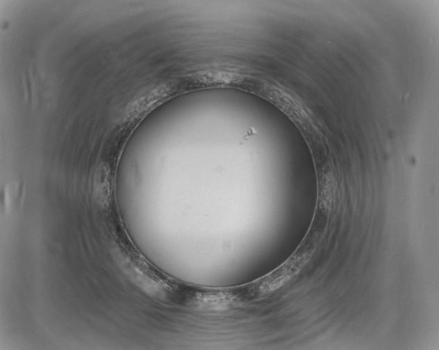 X0000085260414200703161409