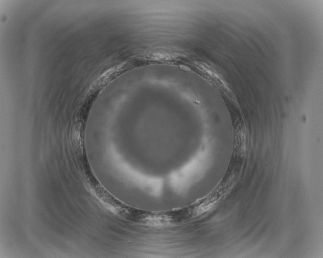 X0000085260415200703161409