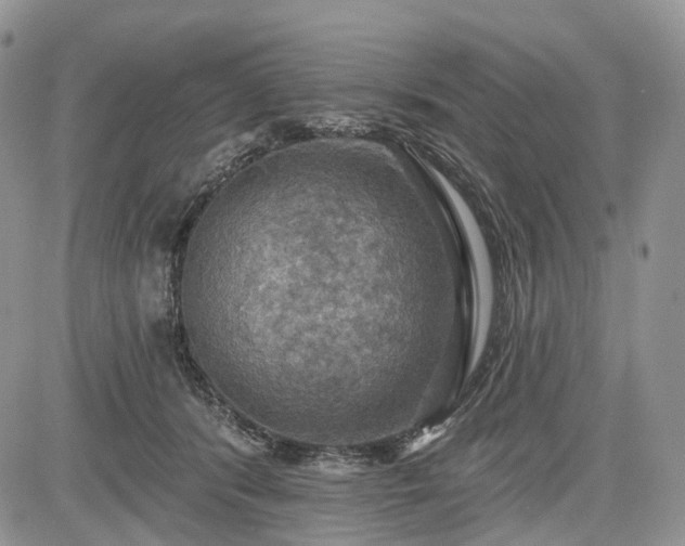 X0000085260416200703161409