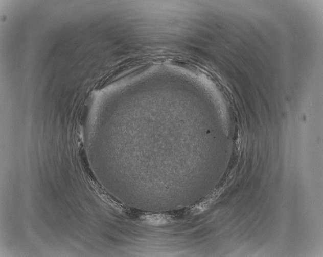 X0000085260417200703161409