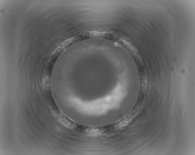 X0000085260419200703161409