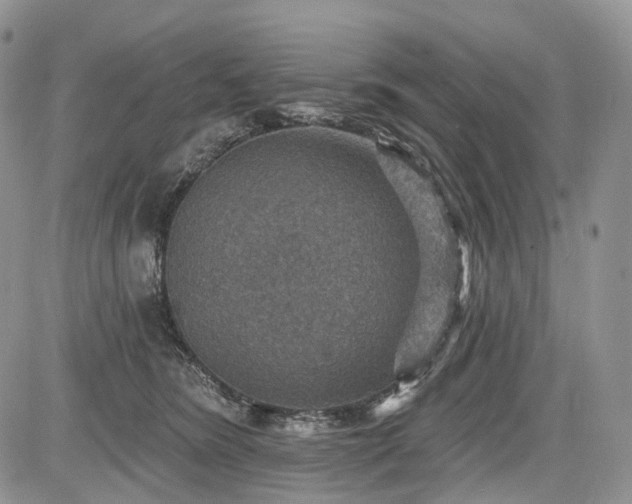 X0000085260420200703161409