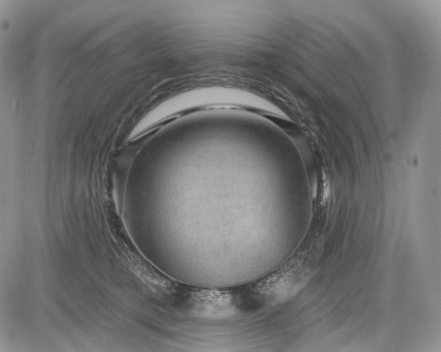 X0000085260421200703161409