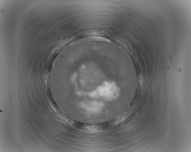 X0000085260423200703161409