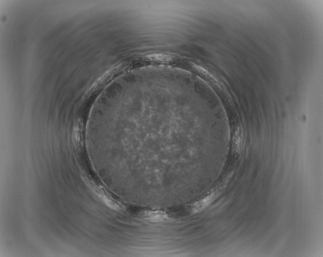 X0000085260424200703161409