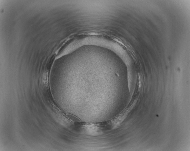 X0000085260425200703161409