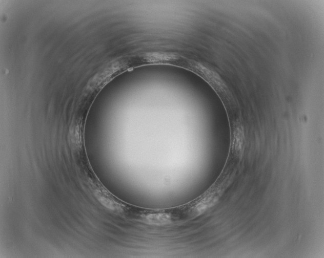 X0000085260426200703161409