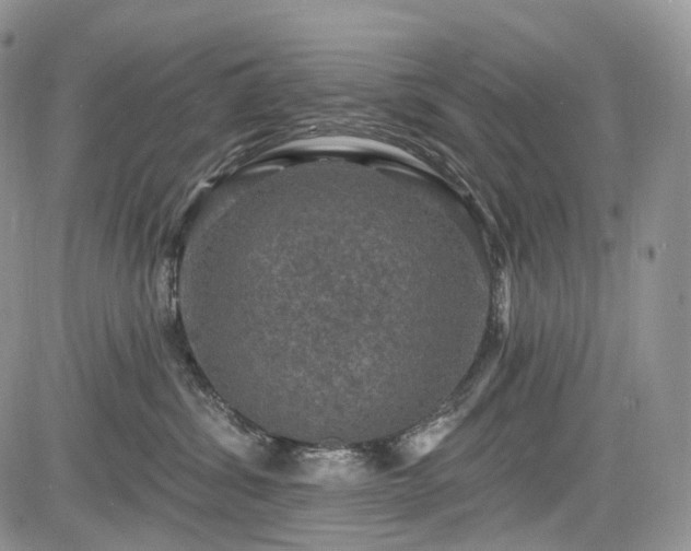 X0000085260428200703161409