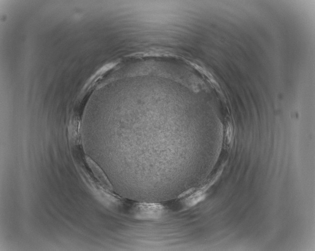 X0000085260429200703161409