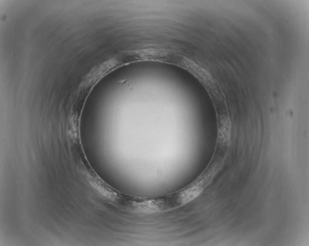 X0000085260430200703161409