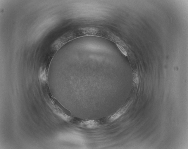 X0000085260431200703161409