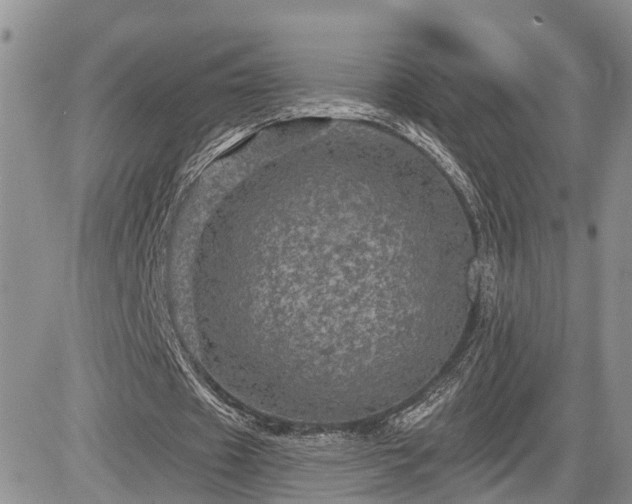 X0000085260433200703161408