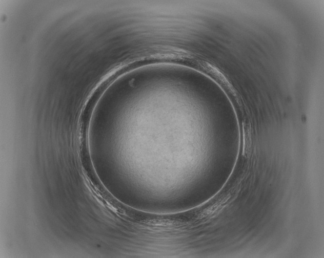 X0000085260435200703161408