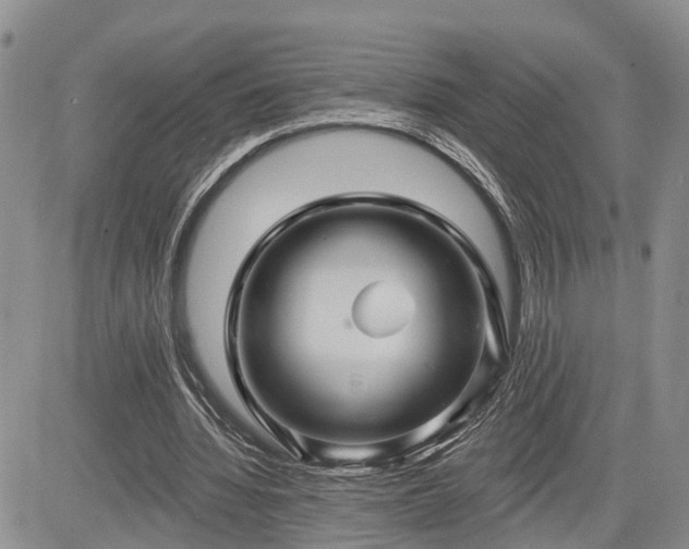 X0000085260436200703161408