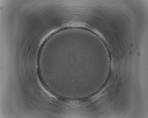 X0000085260438200703161408