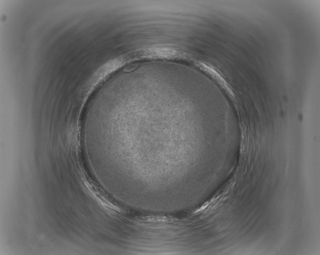 X0000085260439200703161408