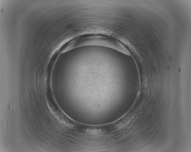 X0000085260440200703161408