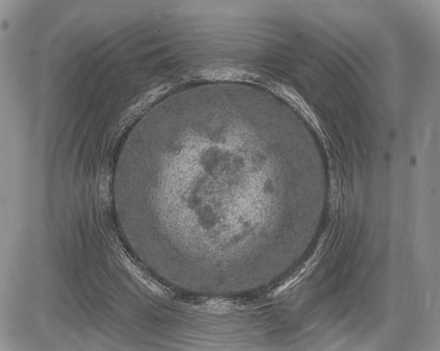 X0000085260441200703161408