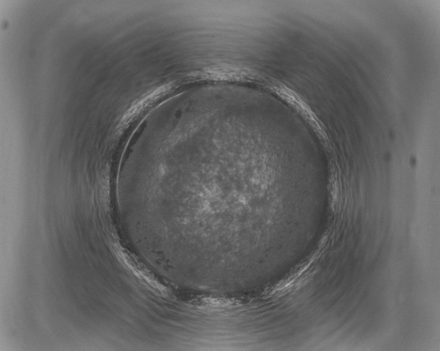 X0000085260442200703161408