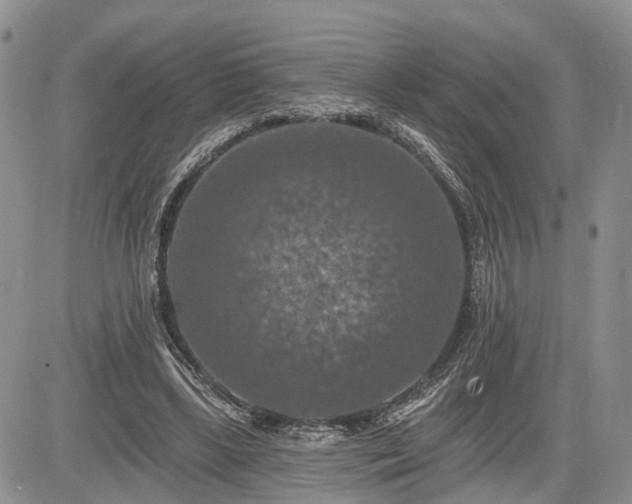 X0000085260443200703161408