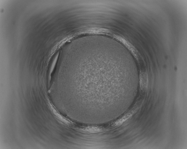 X0000085260445200703161408