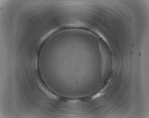 X0000085260446200703161408