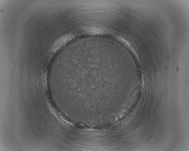 X0000085260447200703161408