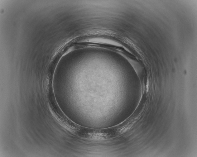 X0000085260448200703161408