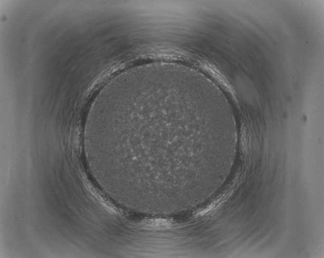 X0000085260449200703161408